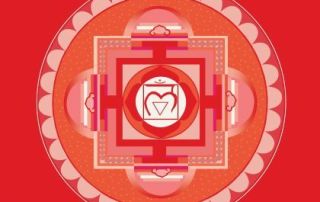 muladhara chakra est le premier chakra en lien avec l'élément terre
