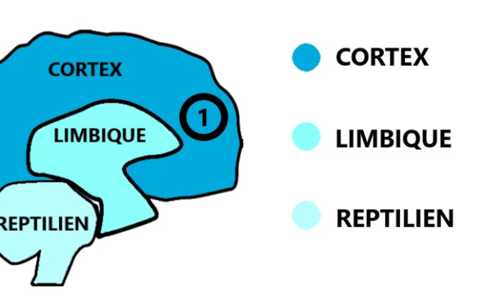 méditation