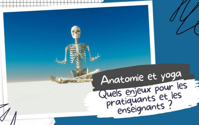 yoga et anatomie